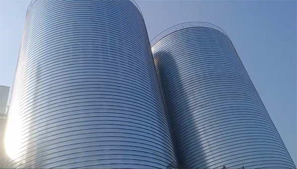 鄂城2座混凝土高架卷板仓